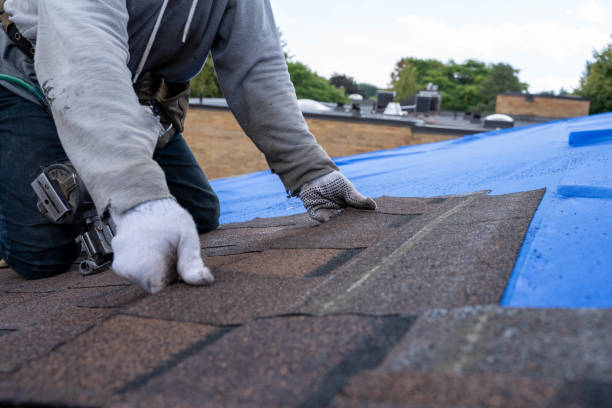 Best Commercial Roofing Services  in Fredonia, NY
