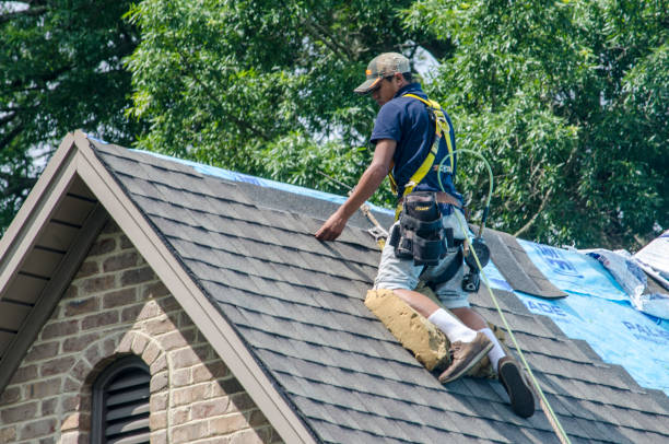 Best Roof Replacement Cost  in Fredonia, NY